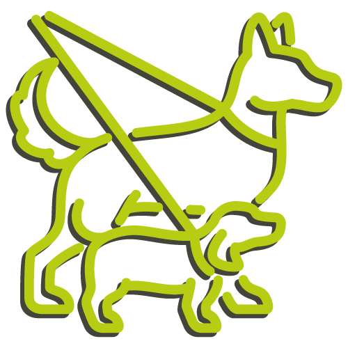 Hundetraining Franken - Startseite, Symbol zwei Hunde laufen an der Leine