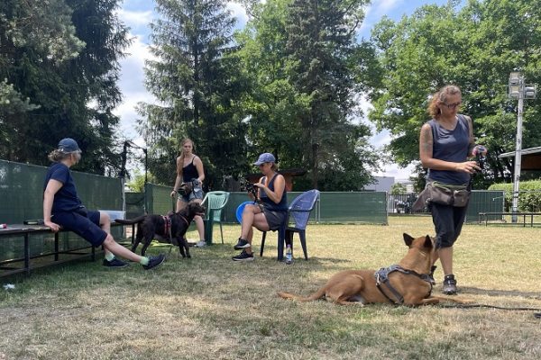Galerie 9 Hundetraining Franken - Galerie, Trainer und Auszubildende im Praxis Coaching