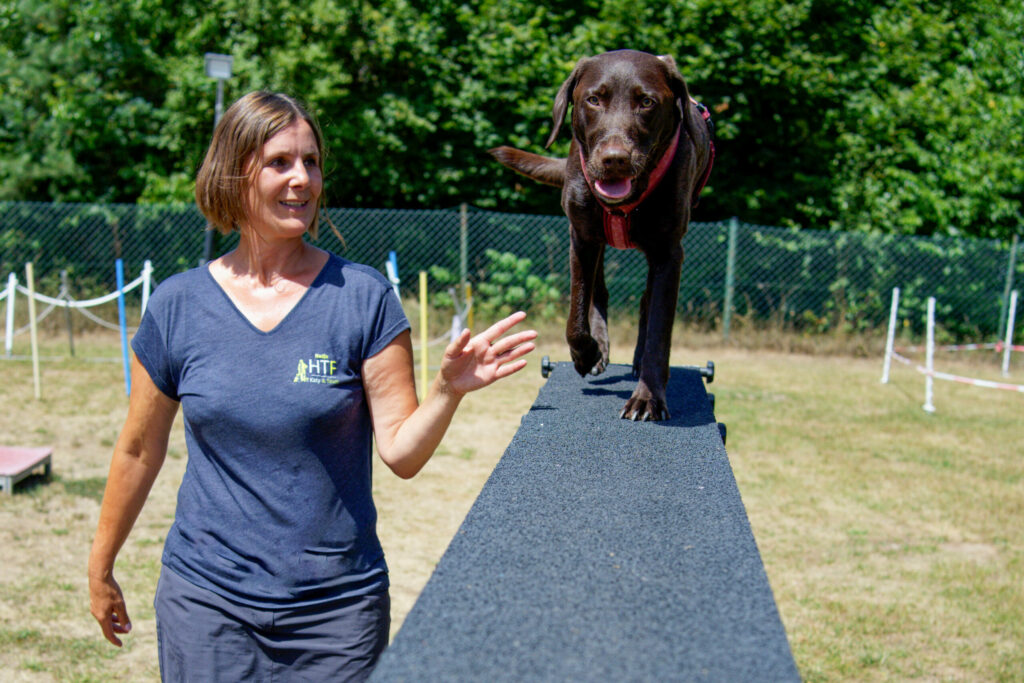 Hundetraining Franken - Team, Trainerin mit braunem Labrador bei Agility Laufsteg