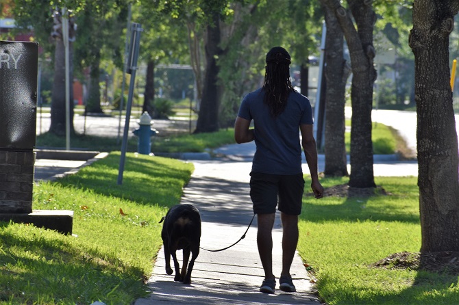 Hundetraining Franken - Leinenkurs, Rottweiler mit Mann an lockerer Leine