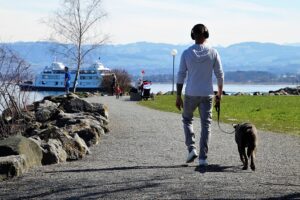 Hundetraining Franken - Leinenkurs, entspannt spazieren gehen im Park
