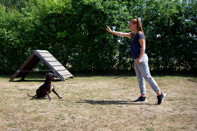 Hundetraining Franken - Coachings, Listenhund übt mit Trainerin Sitz auf Abstand