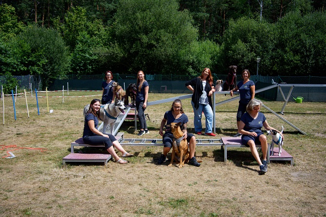 Hundetraining Franken - Coachings, Katy Sonderschefer und Trainerteam mit Hunden