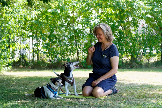 Hundetraining Franken - Longieren, zwei Jack Russell und Trainerin sitzen auf Wiese