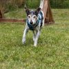 Ü8 - Happy Senior (6 Wochen) – Bild 3