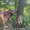 Ü8 - Happy Senior (6 Wochen) – Bild 4