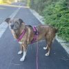 Ü8 - Happy Senior (6 Wochen) – Bild 2
