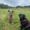 Ü8 - Happy Senior (6 Wochen) – Bild 6