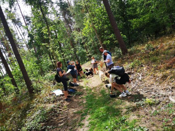 Abenteuer Wildkräuter – Bild 4