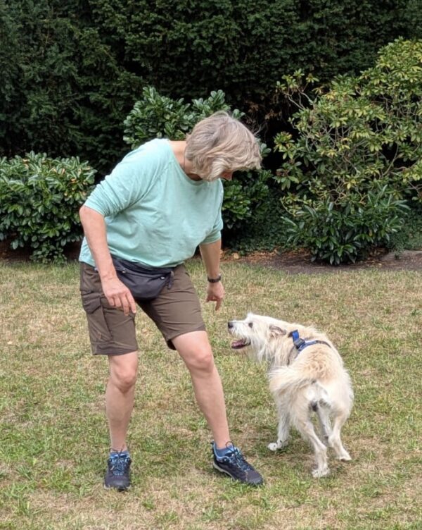 Dogdance – tanzend zur tiefen Bindung – Bild 4