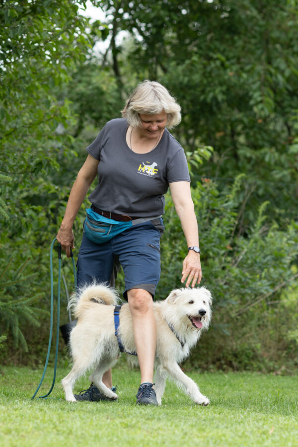 Dogdance – tanzend zur tiefen Bindung – Bild 2