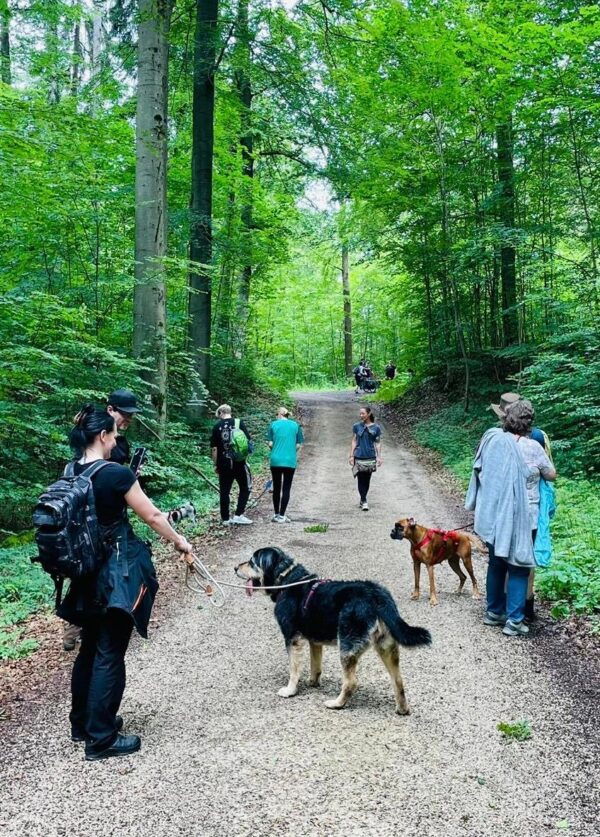 Geführte Wanderung am Baumbilderweg Nürnberger Land – Bild 5