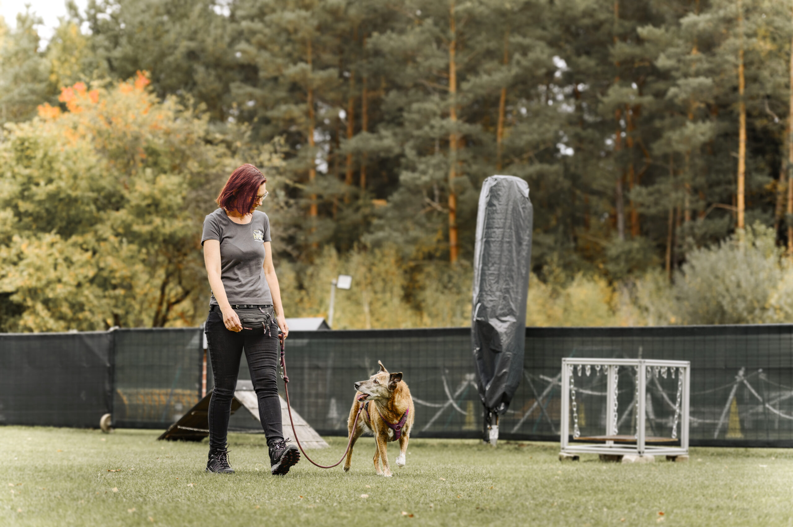 Leinenführigkeit in Deiner Hundeschule im Großraum Nürnberg