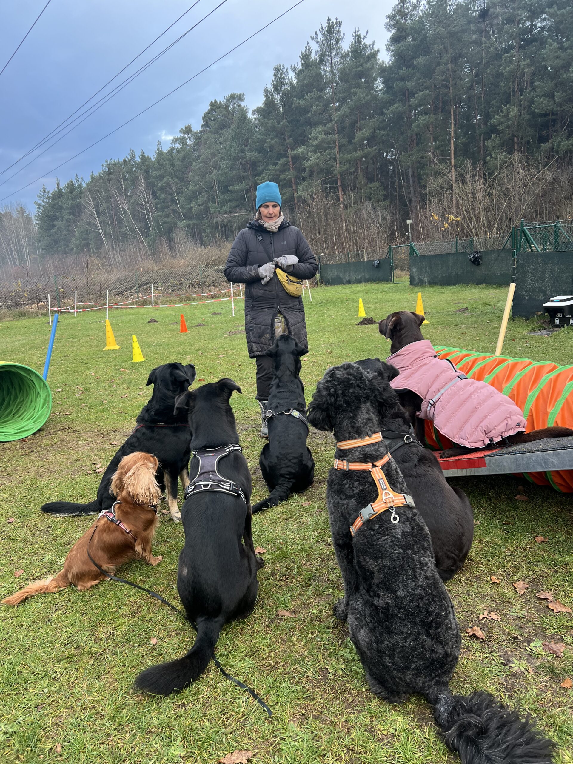 Bunte Gruppe (6 Wochen) 1 Ausbildung zum Hundetrainer in Feucht bei Nürnberg - Gruppenarbeit