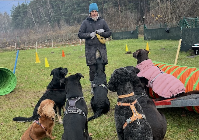 Hundetrainer Ausbildung in Feucht bei Nürnberg - Arbeit mit den Hunden