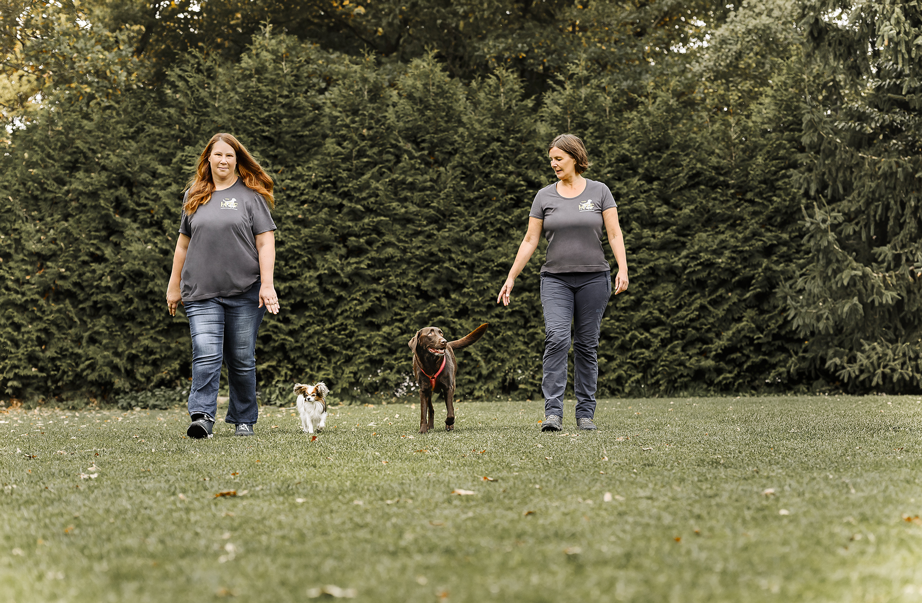Begegnungstraining mit Social Walk auf unserem Hundeplatz in Feucht bei Nürnberg