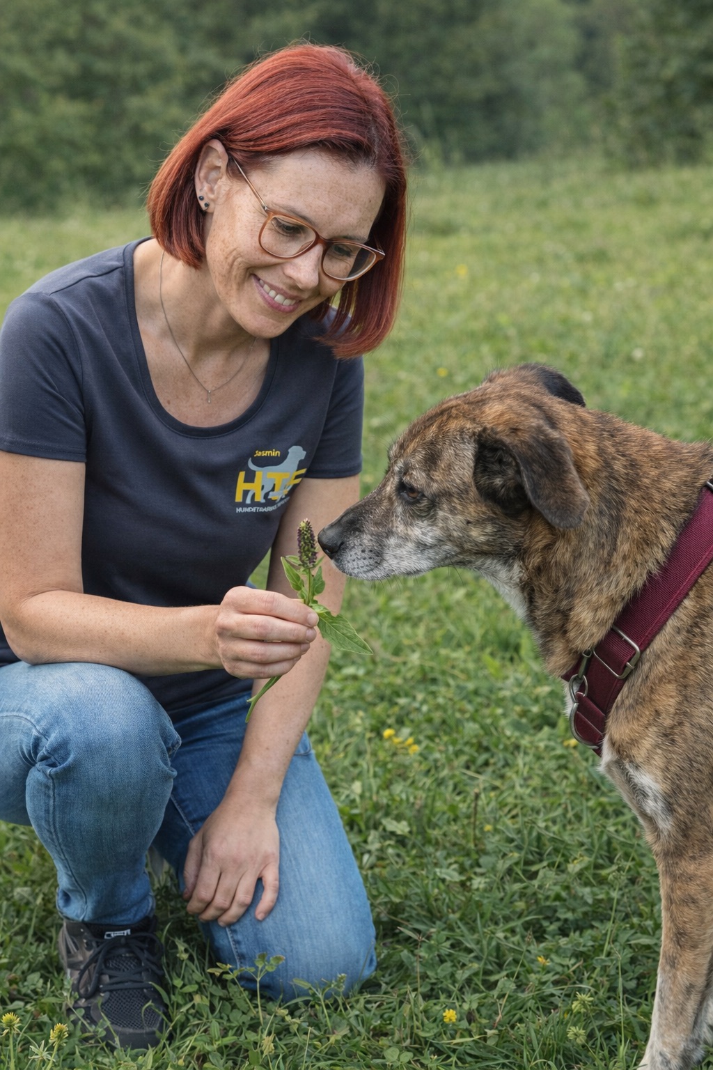 Abenteuer Wildkräuter- Wiesenwanderung 5 Abenteuer Wildkräuter- Wiesenwanderung – Bild 5