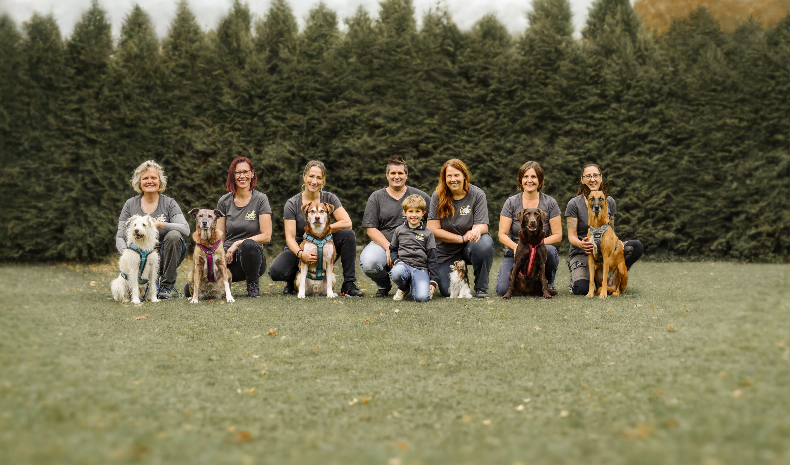 Hundetraining Franken in Feucht bei Nürnberg