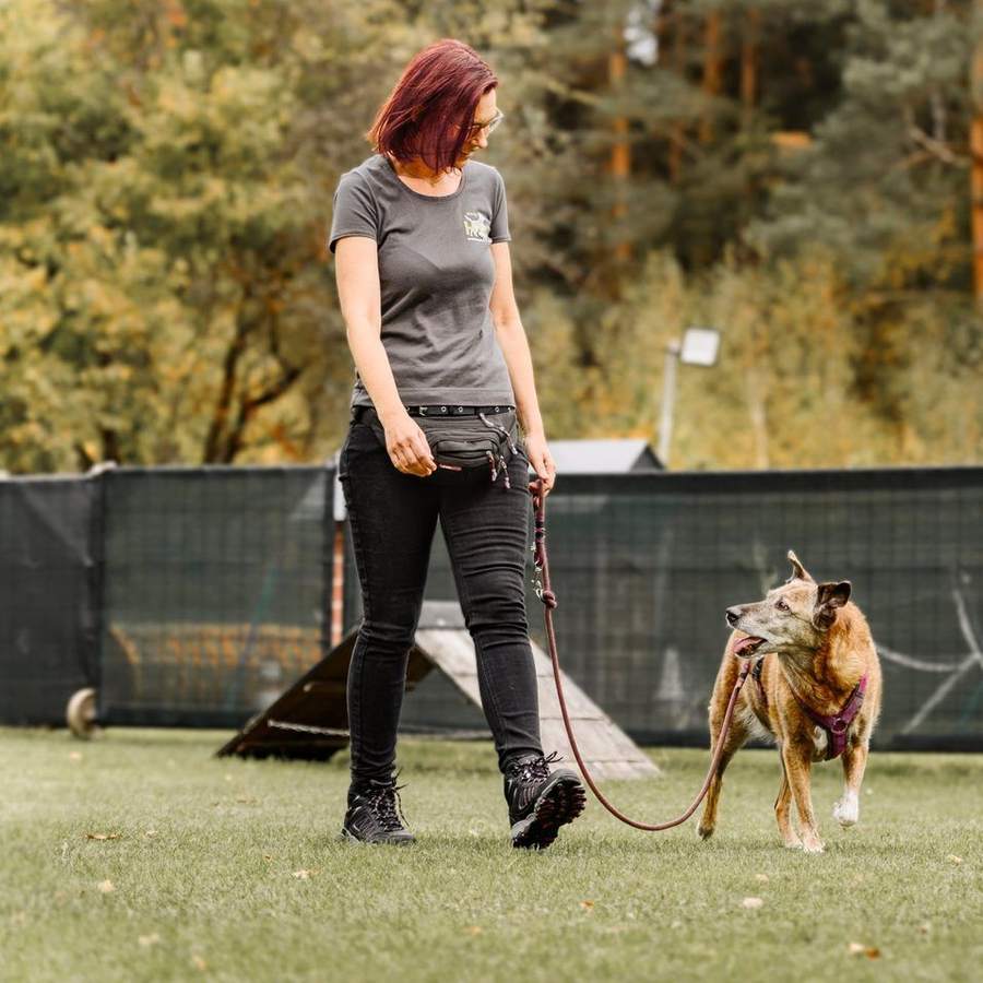 Hundeschule Nürnberg 3 Trainerin geht mit einem Hund an lockerer Leine über den Trainingsplatz