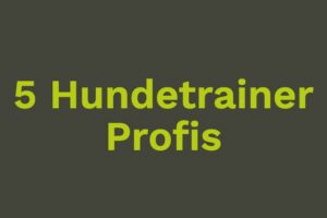 5 Hundetrainer-Profis in Feucht bei Nürnberg